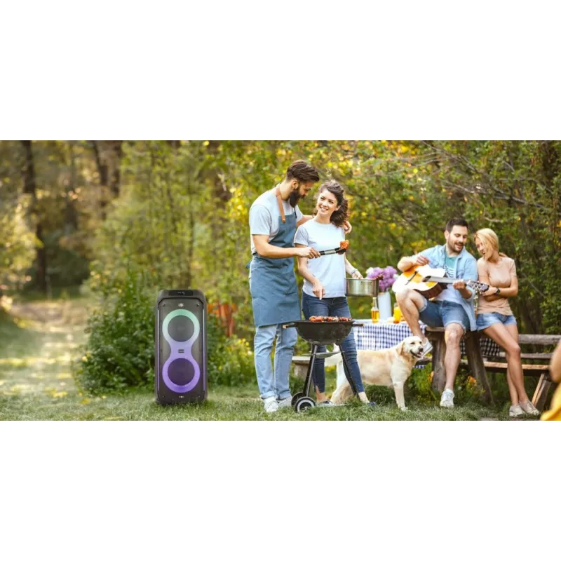 Manta SPK0805B140 Pallas kaasaskantav Bluetooth-kõlar, 15W, must
