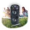 Manta SPK815 kaasaskantav Bluetooth peosüsteem karaokega, 30W RMS, diskotuled, FM-raadio, USB/SD/AUX