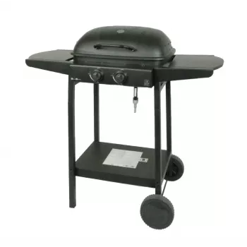 MASTER GRILL Master Gaasigrill 2-põletiga MG672