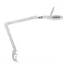 MAUL LED suurenduslamp Makro klambrialusega valge