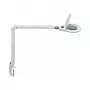 MAUL LED suurenduslamp Source Dimmable White