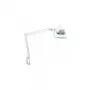 MAUL LED Suurenduslamp Vitrum klambrialusega valge