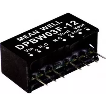 MEAN WELL DPBW03G-15 DC-DC muundur, 3W, 15V 200mA, 9-18V sisend, DIP24, isoleeritud