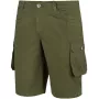 Meeste lühikesed püksid Alpinus Hekla Green SI18154 L