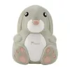 Momini Kompressor-Nebulisaator NebuBunny