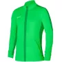 Nike Dri-FIT Academy 23 meeste dressipluus, roheline DR1681 329 S