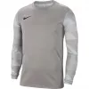 Nike Dry Park IV JSY LS GK meeste väravavahi dressipluus hall CJ6066 052 XL