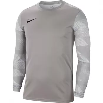 Nike Dry Park IV JSY LS GK meeste väravavahi dressipluus hall CJ6066 052 XL