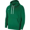 Nike Park 20 dressipluus Pine Green CW6957-302