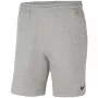 Nike Park 20 meeste lühikesed püksid tumehall kirju XL