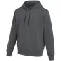 Nike Park 26 meeste fliisist kapuutsiga dressipluus hall IO9035-071 suurus L
