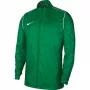 Nike RPL Park 20 RN JKT W meeste jalgpallijope roheline BV6881 302 S