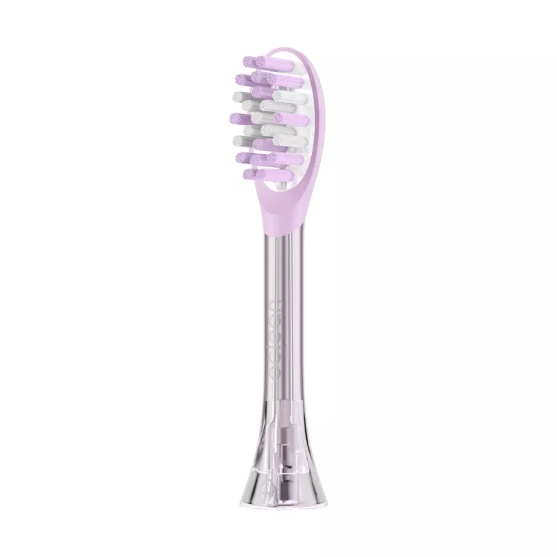Oclean Brush Head Ease 2 tk P1K4 Roosa