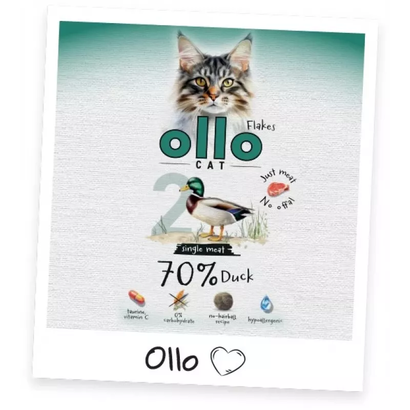 Ollo kassikotike nr 2 part 85 g - täisväärtuslik märg toit kastmes