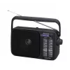 Panasonic RF-2400DEG-K kaasaskantav analoog AM/FM raadio - must