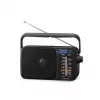 Panasonic RF-2400DEG-K kaasaskantav analoog AM/FM raadio - must