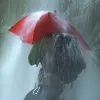 Parasol Euroschirm Birdiepal Outdoor - Punane