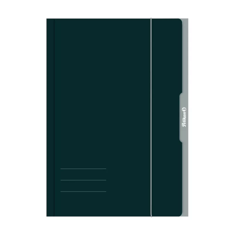 Pelikan 276856 Ringluskaust A3 Papp Roheline