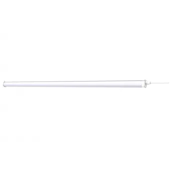 Philips by Signify kaasaskantav nutikas töövalgusti 4000K 1000 lm Bluetooth Zigbee