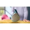 Philips DST2030/90 Aurutriikraud - 2000W, mittekleepuv tallatalb, 270 ml paak