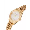 Pierre Cardin naiste kell CF.1012.MG 28mm roosakuldne roostevaba terasest võrk