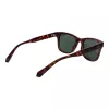 Polaroid PLD6206S51086 Unisex Päikeseprillid Ruudukujulised Havana 51mm