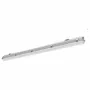 PRACHT CREATIVES LUNA ECO LED lineaarvalgusti 1,6m 39W 6000lm 4000K IP65 IK08 PCO