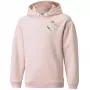 PUMA Alpha Hoodie FL noorte kapuutsiga dressipluus heleroosa suurus 164