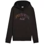PUMA Essentials+ Logo LAB meeste fliisist dressipluus must suurus M