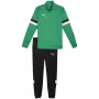 PUMA meeste Team Rise dressikomplekt Forest Night / Puma Black suurus M