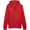 Puma Team Goal Casuals kapuutsiga dressipluus punane