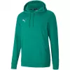 PUMA teamGOAL 23 Casuals kapuutsiga dressipluus roheline läikiv meeste suurus S