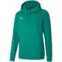 PUMA teamGOAL 23 Casuals kapuutsiga dressipluus roheline läikiv meeste suurus S