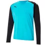 Puma teamPACER GK LS meeste väravavahi dressipluus, sinine-must, 704933 40, suurus L