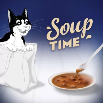 PURINA FELIX Soup ORIGINAL Fish Flavours 6x48g