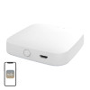 MOES ZHUB-W ZigBee/Wi-Fi lüüs