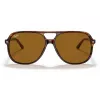 Ray-Ban Bill RB2198 Päikeseprillid Kilpkonnakarva Havana Pruun Classic B-15 60mm Unisex