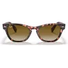 Ray-Ban Frank Square Päikeseprillid RB2201 133451 54/17/145 mm