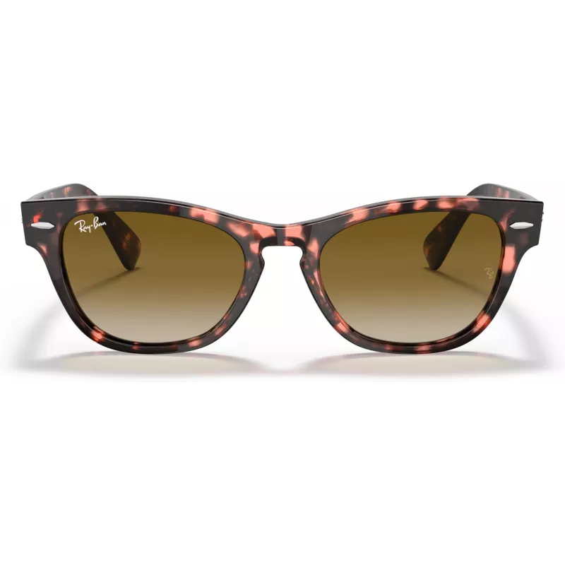 Ray-Ban Frank Square Päikeseprillid RB2201 133451 54/17/145 mm