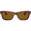 Ray-Ban Frank Unisex Päikeseprillid RB22839543355 Havana Brown 52mm