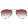 Ray-Ban Junior RJ9506S281755 Päikeseprillid Havana Brown Classic B-15 50mm