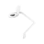 REBEL Kontrolllamp suurendusklaasiga 5D 8W (60 SMD) - Valge