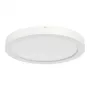 RIDI SARA220 LED süvistatav kohtvalgusti 22W 2200lm 4000K IP20 D217mm