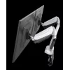 ROCKSTABLE RS-MM011W Professional Dual Monitor Mount - Clamp / Grommet - 16 kg - 38.1 cm (15 inch) - 81.3 cm (32 inch) - 100 x 100 mm - White