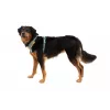 Ruffwear Front Range traksid XS - River Rock Green