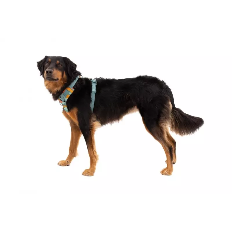 Ruffwear Front Range traksid XS - River Rock Green