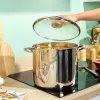 Russell Hobbs RH03801EU7 Classic Collection 26 cm 11.5L Stockpot, roostevaba teras