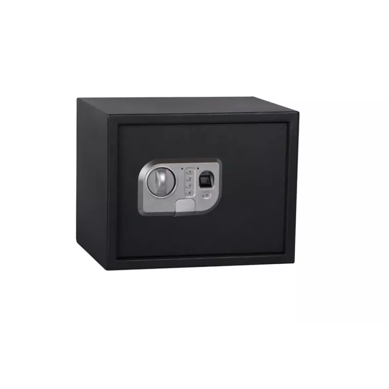 SAFE SP-25ELG 350x250x250