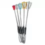 SALEWA Wild Country Rocks Nut Set 6-10 - 5-osaline kaljunutikomplekt
