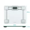 Salter 9081 SVFEU12 Glass Electronic Bathroom Scale, Silver/Transparent